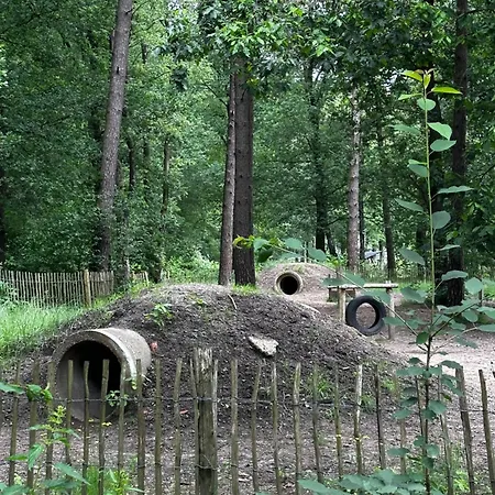Sfeervolle Blokhut Op De Veluwe Op Recreatiepark Topparken In Met Vrije Tuin En Eigen Parkeerplaats *