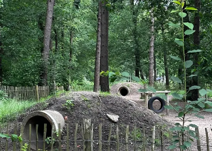 Sfeervolle Blokhut Op De Veluwe Op Recreatiepark Topparken In Met Vrije Tuin En Eigen Parkeerplaats *